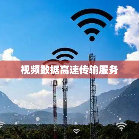 视频数据高速传输服务