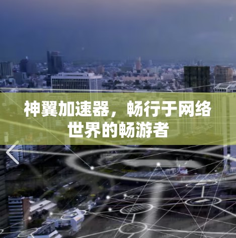 神翼加速器，畅行于网络世界的畅游者