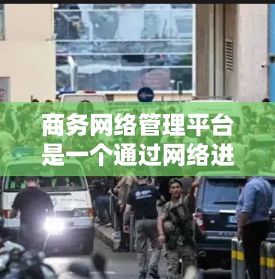 商务网络管理平台是一个通过网络进行商务活动的管理平台,主要用于提升用户体验、保障数据安全和合规。以下是该平台的详细分析和总结