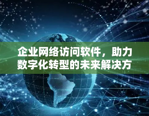 企业网络访问软件，助力数字化转型的未来解决方案