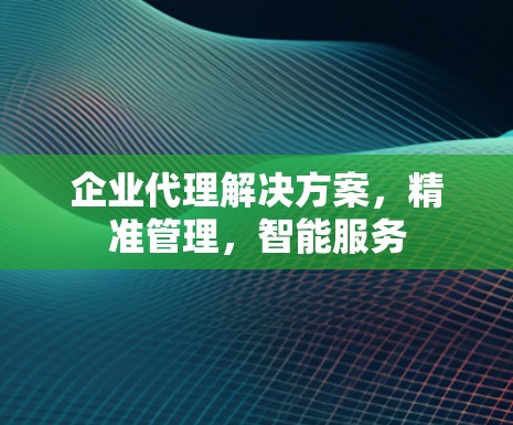 企业代理解决方案，精准管理，智能服务
