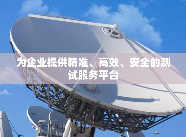 为企业提供精准、高效、安全的测试服务平台