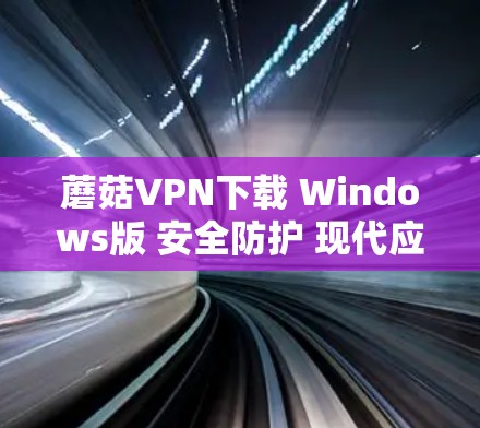 蘑菇VPN下载 Windows版 安全防护 现代应用