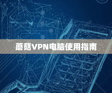 蘑菇VPN电脑使用指南