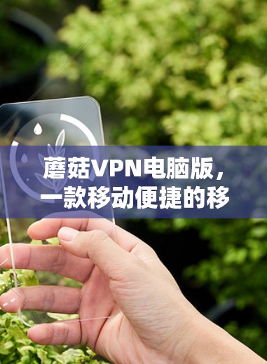 蘑菇VPN电脑版，一款移动便捷的移动VPN解决方案
