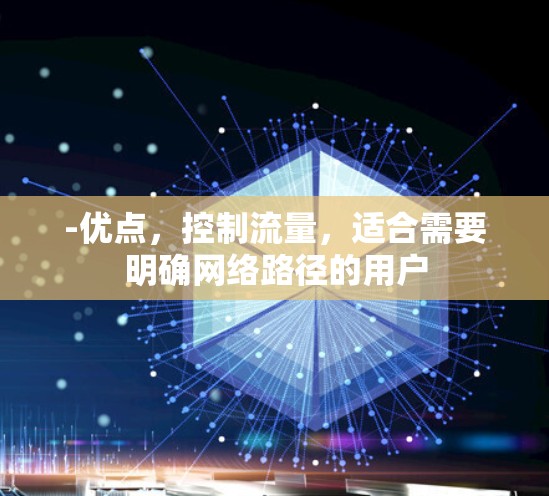 -优点，控制流量，适合需要明确网络路径的用户