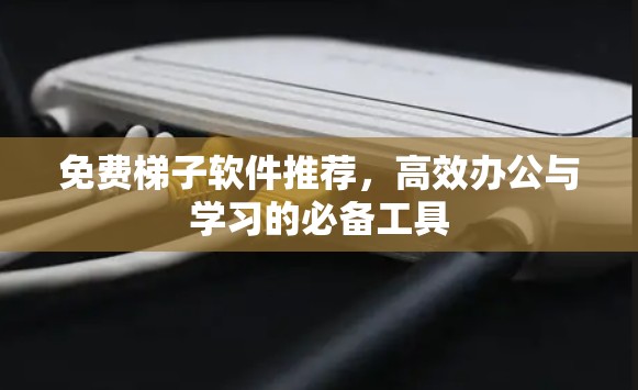免费梯子软件推荐，高效办公与学习的必备工具
