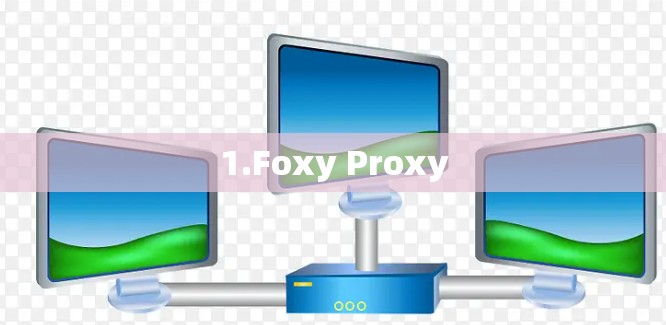 1.Foxy Proxy
