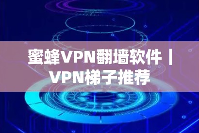 蜜蜂VPN翻墙软件｜VPN梯子推荐