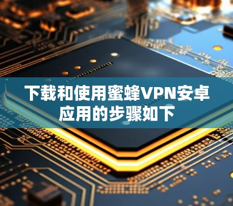 下载和使用蜜蜂VPN安卓应用的步骤如下