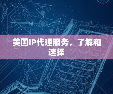 美国IP代理服务，了解和选择