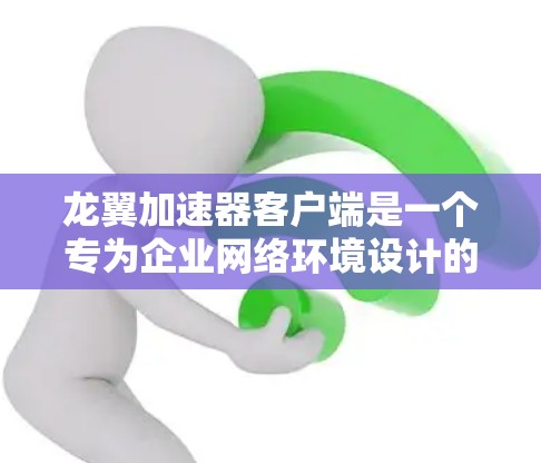 龙翼加速器客户端是一个专为企业网络环境设计的网络优化工具，旨在提升数据传输效率和网络性能。以下是对该客户端的详细分析