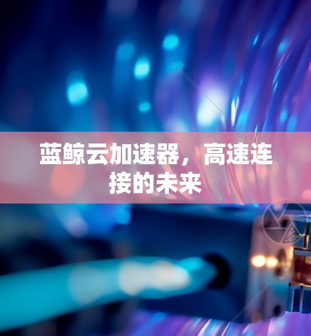 蓝鲸云加速器，高速连接的未来