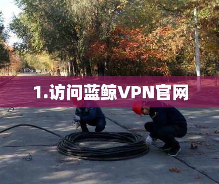 1.访问蓝鲸VPN官网