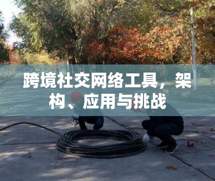 跨境社交网络工具，架构、应用与挑战