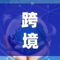 跨境VPN是一种用于连接不同国家或地区网络的服务，提供安全、隐私保护和绕过地区限制的功能。以下是对跨境VPN的详细分析和总结