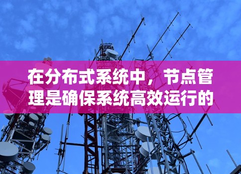 在分布式系统中，节点管理是确保系统高效运行的重要环节，而速度检测则是优化这一管理的关键。以下是针对节点管理速度检测问题的分步解决方案
