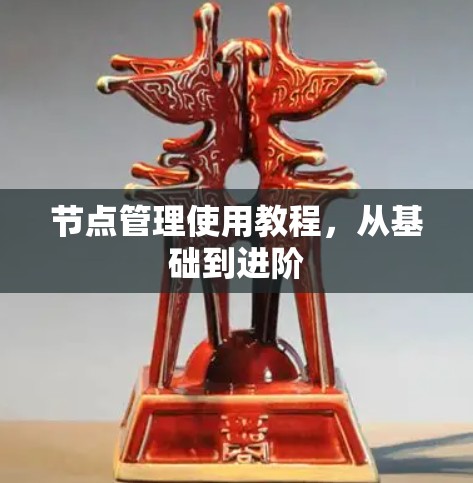 节点管理使用教程,从基础到进阶 节点管理使用教程,从基础到进阶