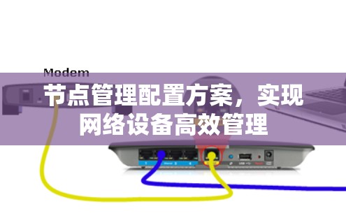 节点管理配置方案，实现网络设备高效管理