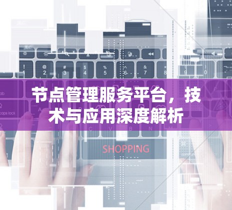 节点管理服务平台，技术与应用深度解析