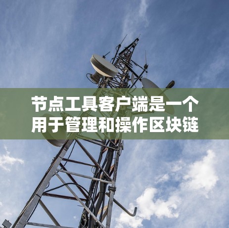 节点工具客户端是一个用于管理和操作区块链节点的软件，常用于比特币和以太坊等区块链网络。以下是对该客户端的详细介绍
