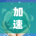 加速器（Accelerator）是一种用于优化网络数据传输的设备或软件，通常用于提高网络带宽效率和数据传输速度。加速器可以与外部网络接口（如路由器、防火墙或负载均衡器）集成，以实现高性能的网络加速