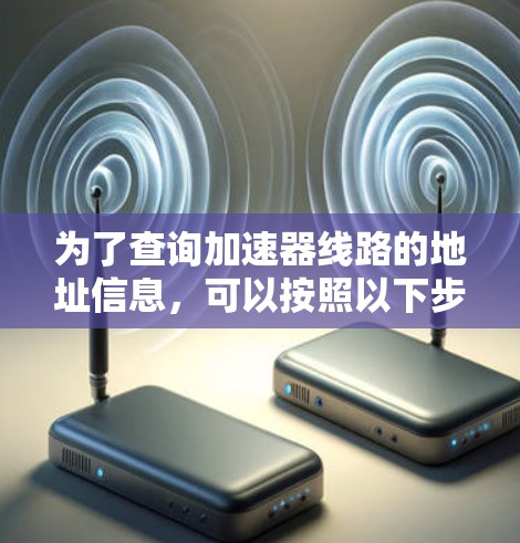 为了查询加速器线路的地址信息，可以按照以下步骤进行