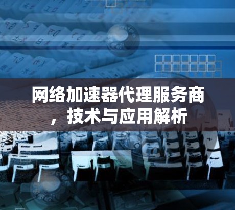 网络加速器代理服务商，技术与应用解析