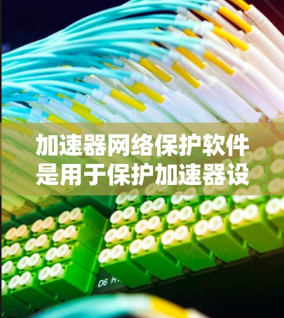 加速器网络保护软件是用于保护加速器设备安全的重要工具，防止网络攻击和数据泄露。以下是对该软件的详细分析和建议