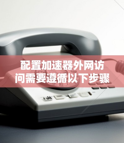 配置加速器外网访问需要遵循以下步骤
