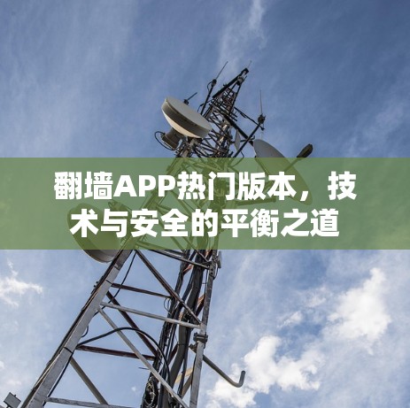 翻墙APP热门版本，技术与安全的平衡之道