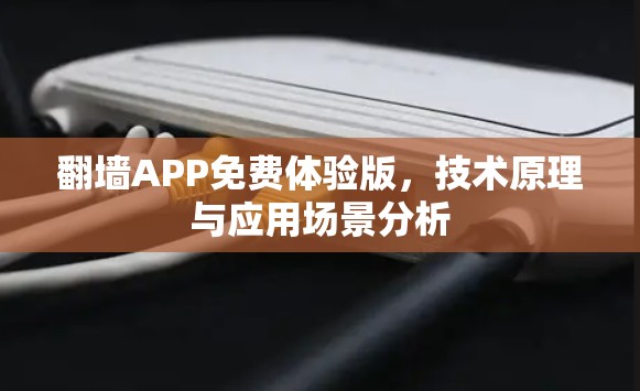 翻墙APP免费体验版，技术原理与应用场景分析