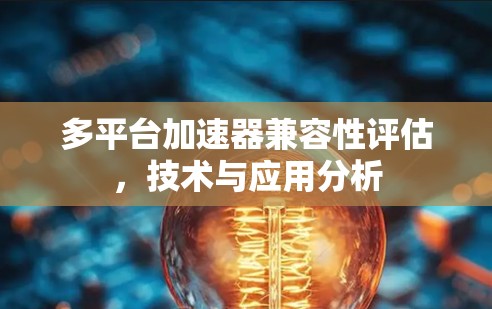 多平台加速器兼容性评估,技术与应用分析 多平台加速器兼容性评估,技术与应用分析