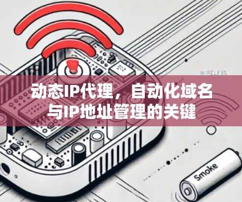 动态IP代理，自动化域名与IP地址管理的关键