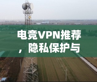 电竞VPN推荐,隐私保护与游戏性能优化之道 电竞VPN推荐,隐私保护与游戏性能优化之道