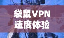 袋鼠VPN速度体验测评，实测体验与优化建议