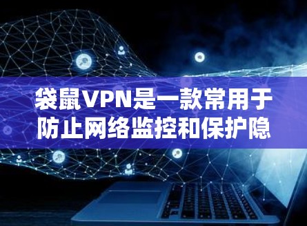 袋鼠VPN是一款常用于防止网络监控和保护隐私的工具，以下是使用袋鼠VPN的基本方法