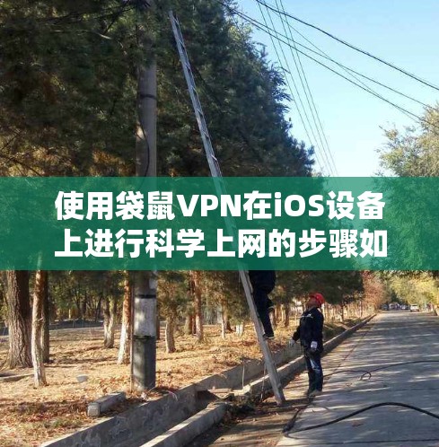 使用袋鼠VPN在iOS设备上进行科学上网的步骤如下 使用袋鼠VPN在iOS设备上进行科学上网的步骤如下