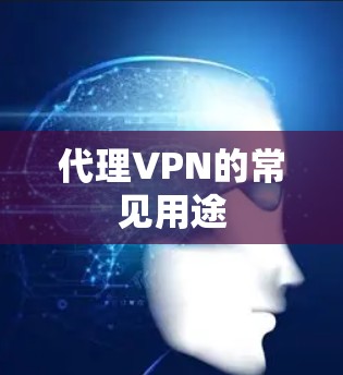 代理VPN的常见用途 代理VPN的常见用途