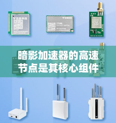 暗影加速器的高速节点是其核心组件之一，负责高效的数据传输和任务管理，确保系统的高性能和可靠性。以下是对暗影加速器高速节点的详细分析