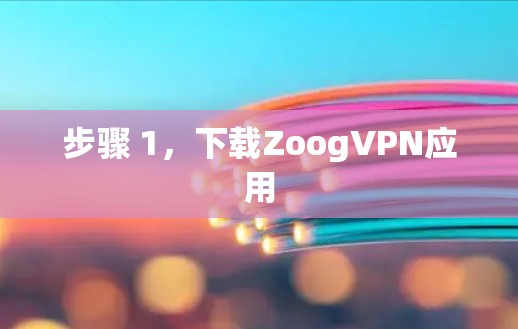 步骤 1，下载ZoogVPN应用