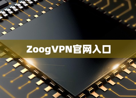 ZoogVPN官网入口