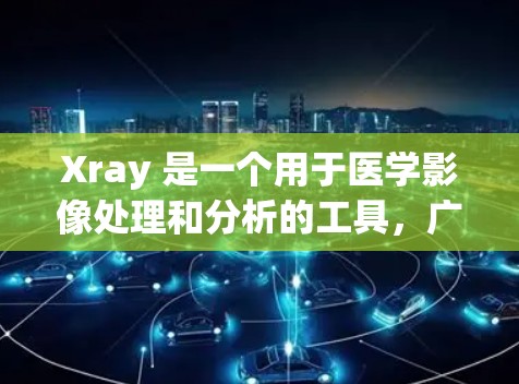 Xray 是一个用于医学影像处理和分析的工具，广泛应用于 CT、MRI、X射线等影像数据的处理和分析。以下是一些常用的 Xray 使用指南和技巧，帮助你更好地理解和使用 Xray