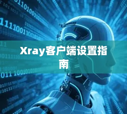 Xray客户端设置指南 Xray客户端设置指南