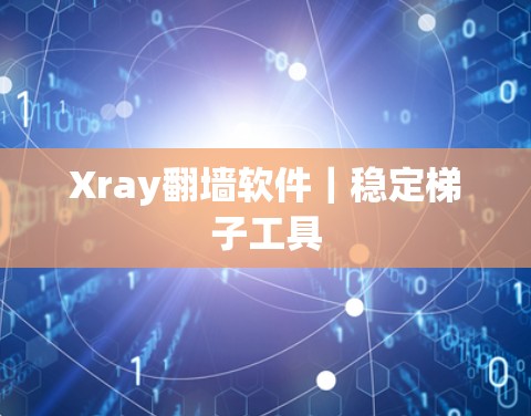 Xray翻墙软件｜稳定梯子工具