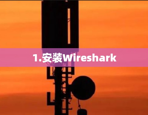 1.安装Wireshark 1.安装Wireshark