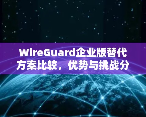 WireGuard企业版替代方案比较，优势与挑战分析