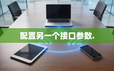 配置另一个接口参数. 配置另一个接口参数.