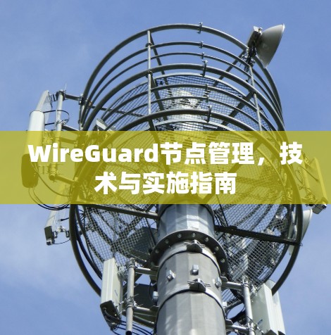 WireGuard节点管理，技术与实施指南