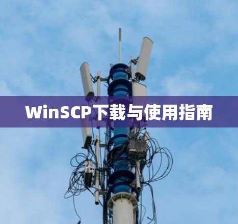 WinSCP下载与使用指南